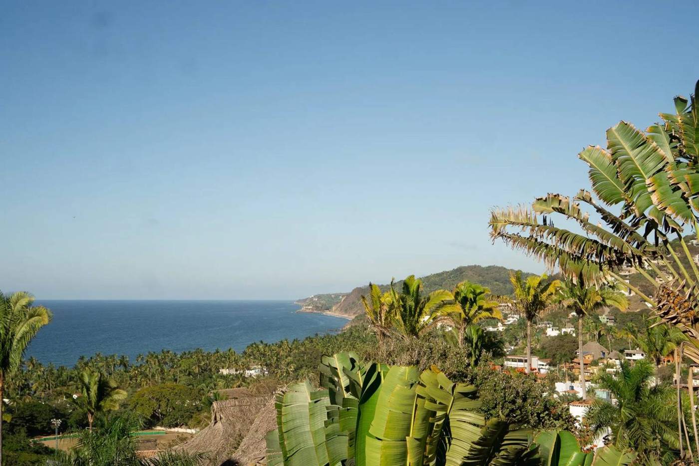 Jungle hillside running down to the Pacific coast in Mexico