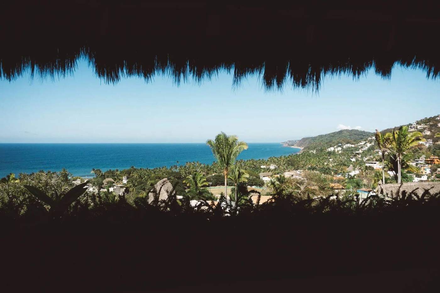 Ocean view over palm trees from a terrace