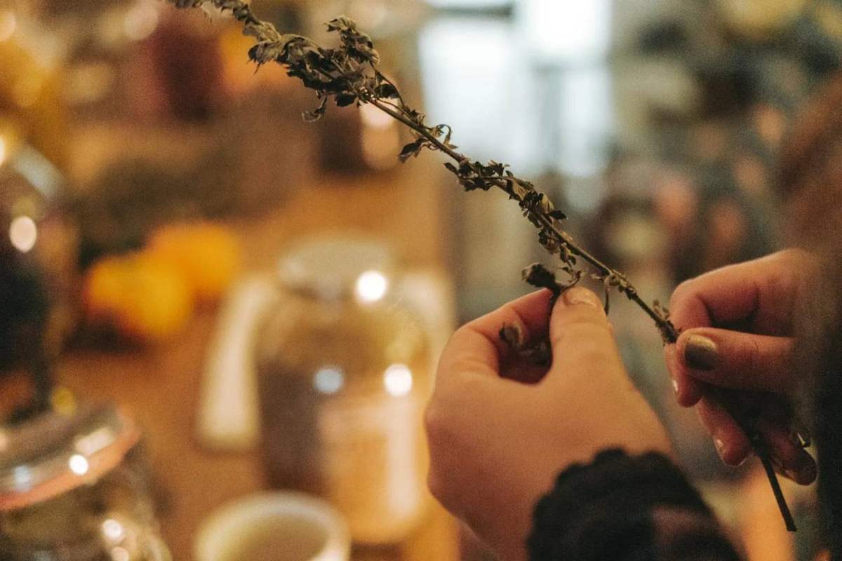 Earth Remedies Samhain Retreat, photo 2