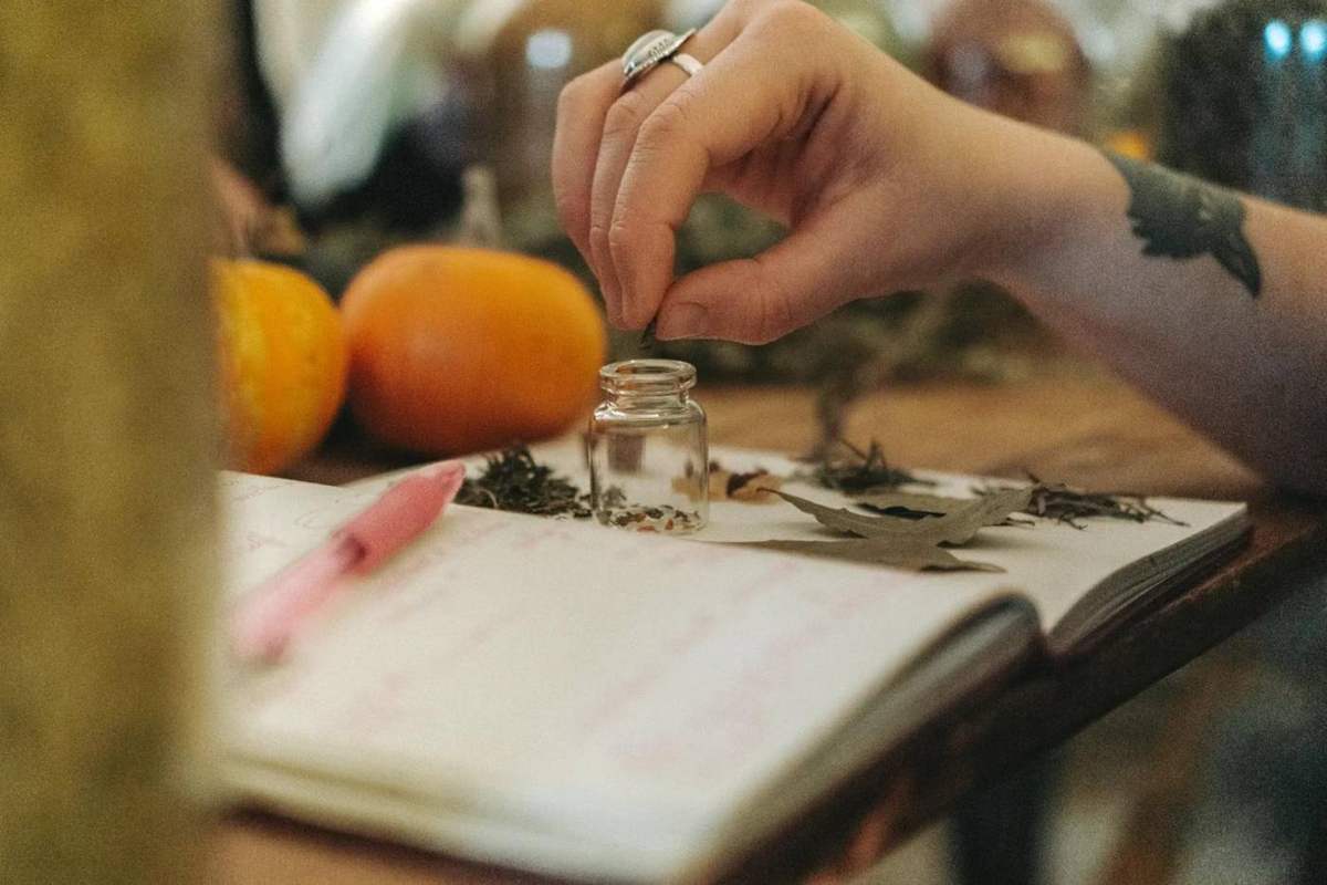 Earth Remedies Samhain Retreat, photo 3