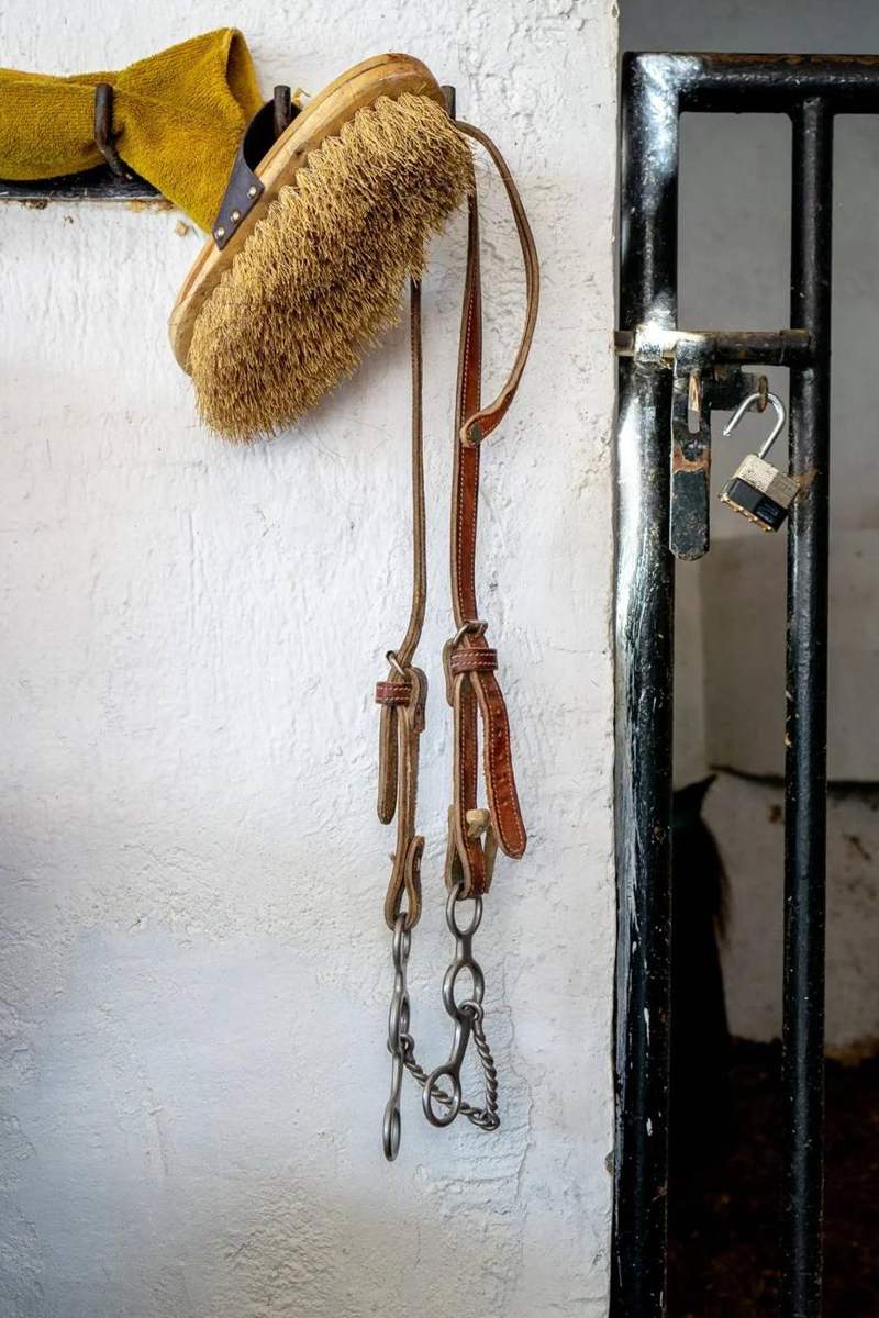 Escaramuza, photo 8