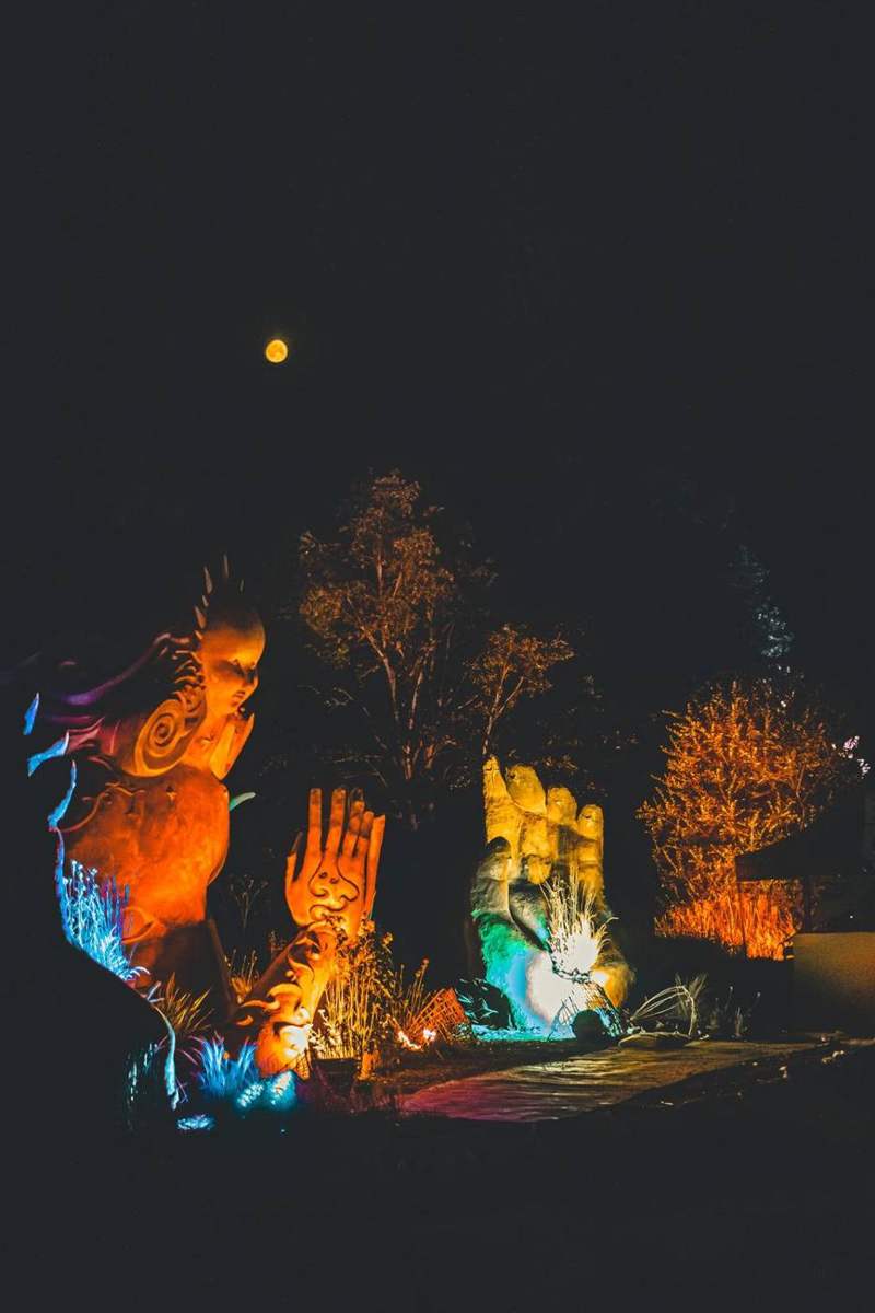 Medicine Festival, photo 3